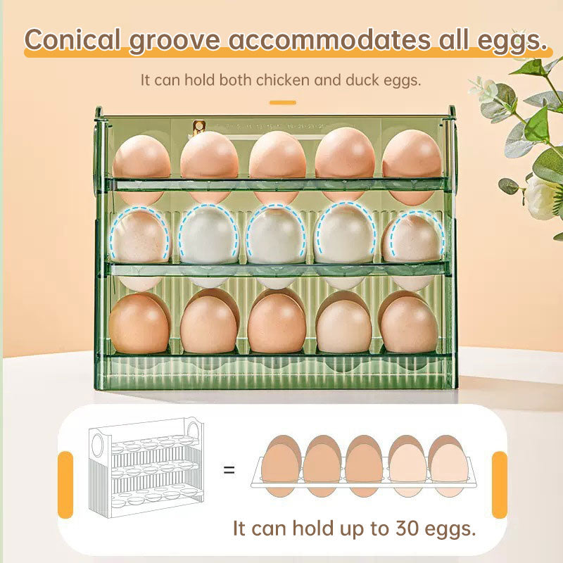 Multi-Layer Egg Storage Holder